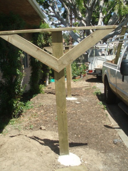Suzana's grape trellis